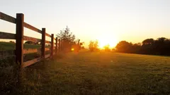 Povestea despre motivul pentru care o mamă și fiica ei au refuzat oferta de 26 de milioane de dolari pentru terenul lor