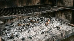 Înainte să arunci cenușa de la grătar, află 3 moduri utile în care îți mai poate fi de folos