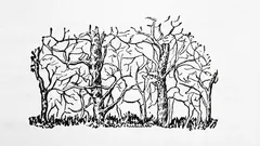 Primul animal pe care îl veți vedea în imagine dezvăluie esența personalității dumneavoastră.