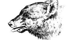 Puteți găsi persoana din această iluzie optică?