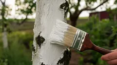 Cum să albiți copacii primăvara: încercați aceste alternative eficiente la var