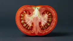 Miez alb și tare în roșii: de ce apare și cum se pot cultiva roșii perfecte fără el?