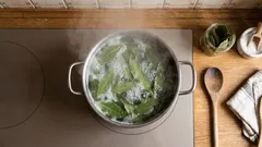 Fierberea frunzelor de dafin cu sare acasă: de ce este recomandată și la ce este utilă