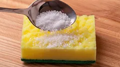 Cum să scapi de umezeala în exces din frigider: reține acest truc cu un burete și sare